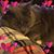 Susan Proud's profile image