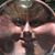 Dan Gundrum's profile image