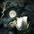 Blythe Grandon's profile image