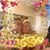 Ana Gottel-ahlmeyer's profile image
