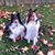 Sandra Dooley's profile image
