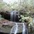 Sharon Harmon's profile image