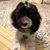 Sheila Vanderwell Brown's profile image