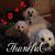 Nancy Mccuen's profile image