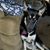 Michael Amacher's profile image
