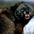 Rob Spinelli's profile image