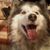 Lori Duffy's profile image