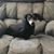 Lois ODea's profile image