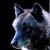 Danny Pelletier's profile image