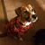 Vaughn Patterson's profile image