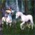 Debbie Adams's profile image