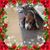 Debbie Meck Sanborn's profile image
