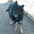 Babette Lashley's profile image