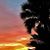 Christine Marston Davenport's profile image