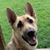 Traci McClung Schandel's profile image