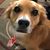Katherine Defreitas-Hofius's profile image