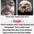 Charlie Parks's profile image