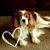 Karol A. Singleton's profile image