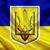 Alena Martynyuk's profile image