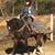 Deborah Kennon's profile image