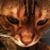 Marina Sparks's profile image