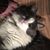 Tammy Baumgartner's profile image