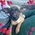 Sandi Euriech Juilfs's profile image