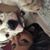 Steffany Salazar's profile image