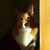 Tracey Vukovich's profile image