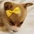 Jennifer Baldwin's profile image