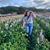 Chantelle Flett's profile image