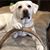 Meg Eskelson's profile image