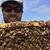 Jamie Bucklin's profile image
