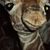 Randy Fristoe's profile image