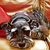 Fran McCurry Plott's profile image