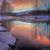 Jeanne Knowlton's profile image