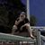L.t. Weese's profile image