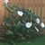 Debbie Deason's profile image