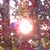 Myrna K Boyce's profile image