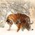 Cheryl Averett Stevenson's profile image
