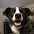 Joanne Cook's profile image