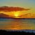 Sue Roberts's profile image