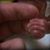 Anya Anne Solyntjes's profile image