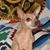 Kanga Rudder's profile image