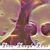 Karen Dowling-Barth's profile image