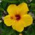 Tracey Troy-Glass's profile image