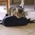 Katherine Rasmussen's profile image