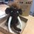 Barb Grow's profile image