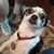 Pat Conlin's profile image
