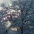 Trudy Haaf's profile image